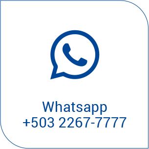 Whatsapp Icon